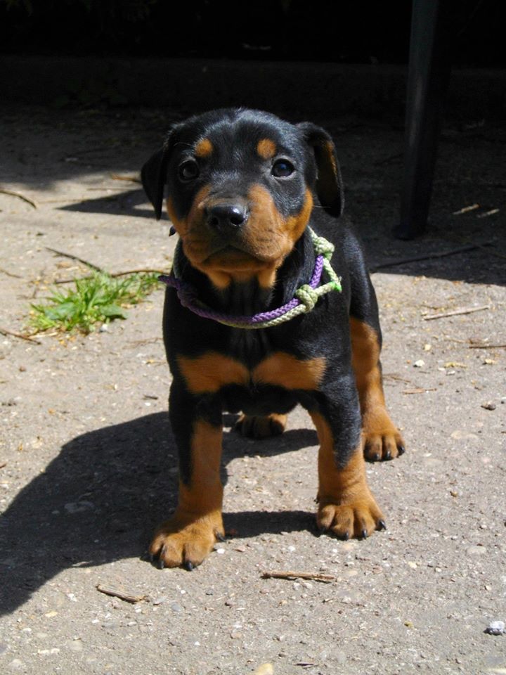 1 mois