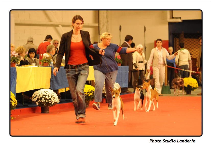 Expo Metz 2011