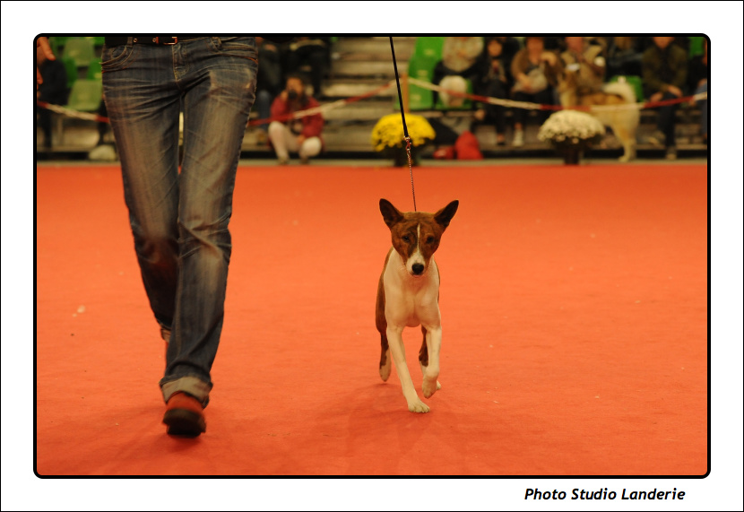 Expo Metz 2011b