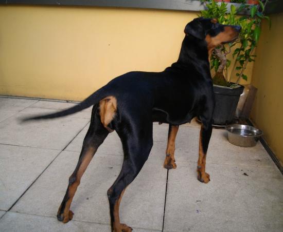 Tabatha 09/2011