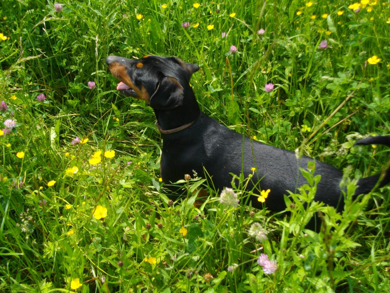 Pretty, Mai 2012