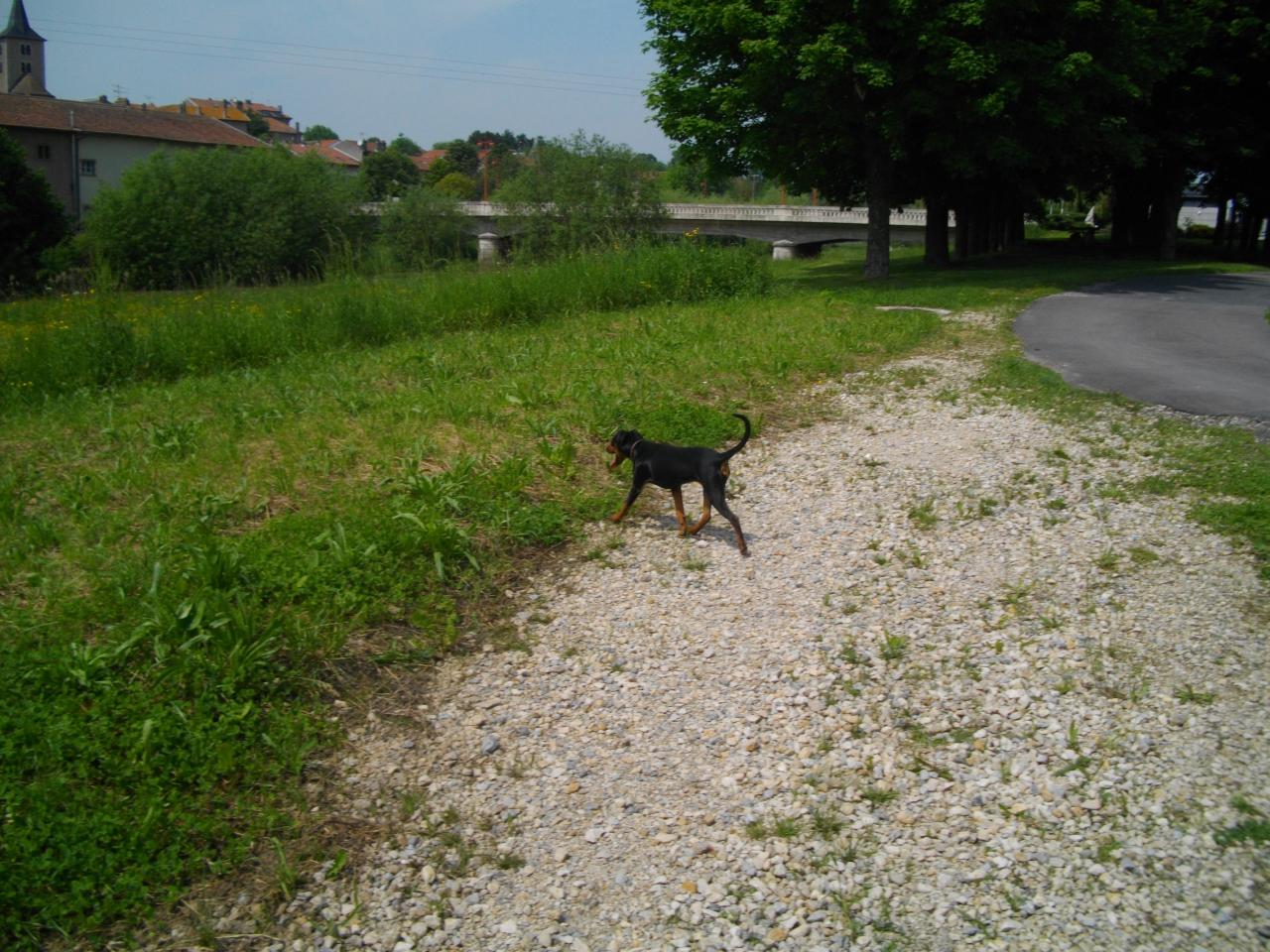 Pretty, Mai 2012
