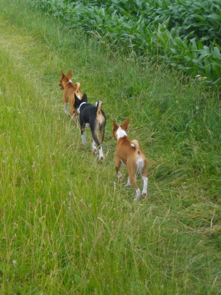 Sandy, Gary et Linéa