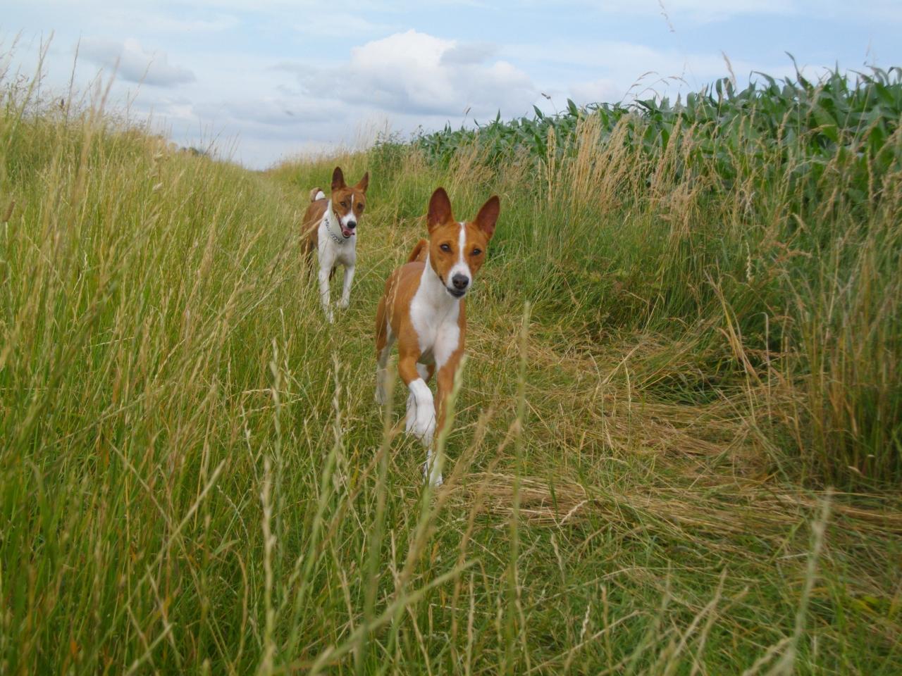 Linéa et Benji