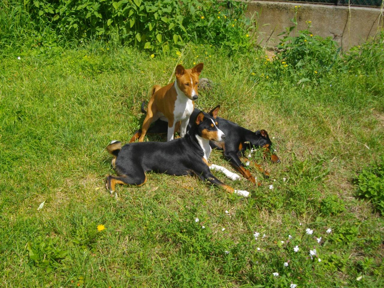 Gary, Sandy assise sur Pretty