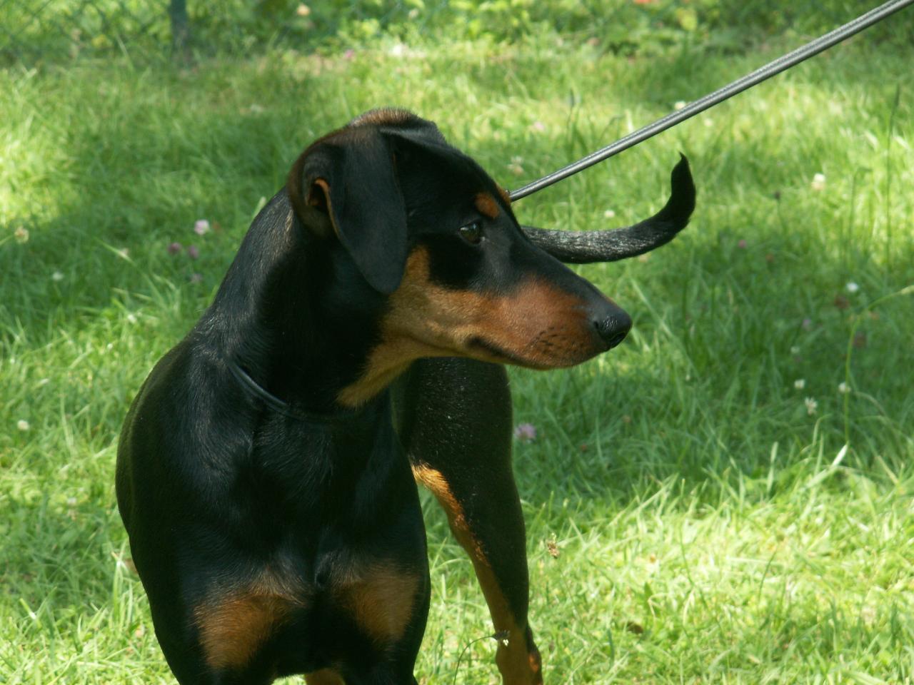 Wantzenau 2012