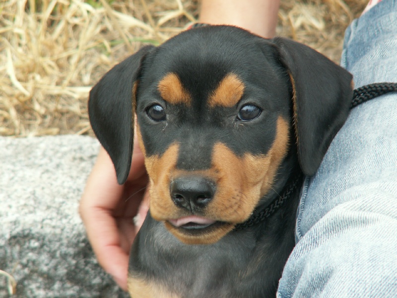 Tabatha 2007