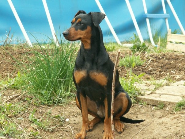 Tabatha 2009