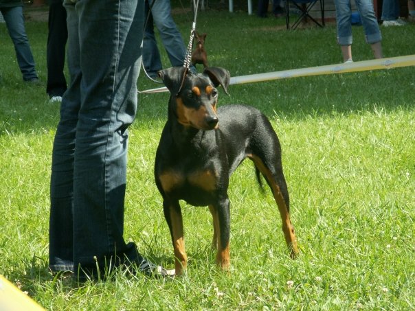 Tabatha 2009