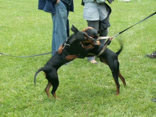 Tabatha 2009