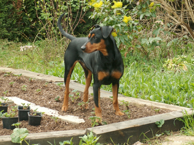 Tabatha 2009